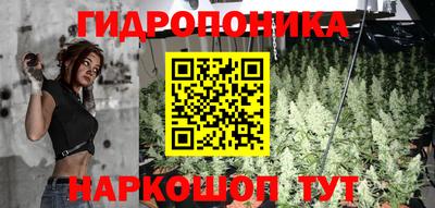 шишки Камышлов