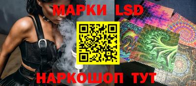 шишки Камышлов