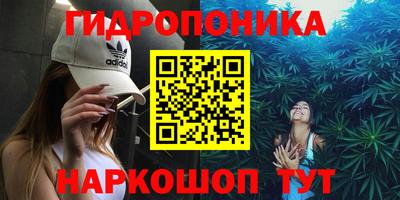 шишки Камышлов