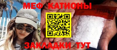 шишки Камышлов