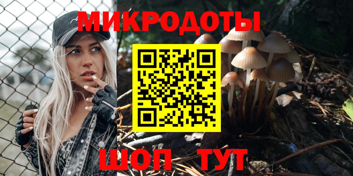 Псилоцибиновые грибы Cubensis  Вход с VPN  Великий Новгород 