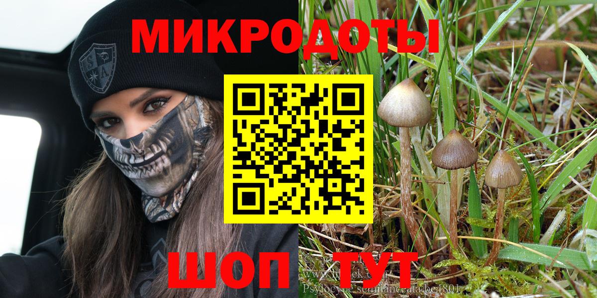 Псилоцибиновые грибы Magic Shrooms Великий Новгород